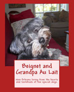 My New Orleans Heart by Claudia McGarry