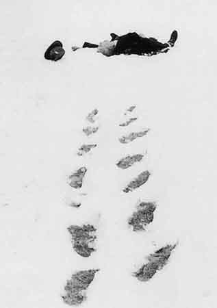 White Christmas by Julie Morrigan